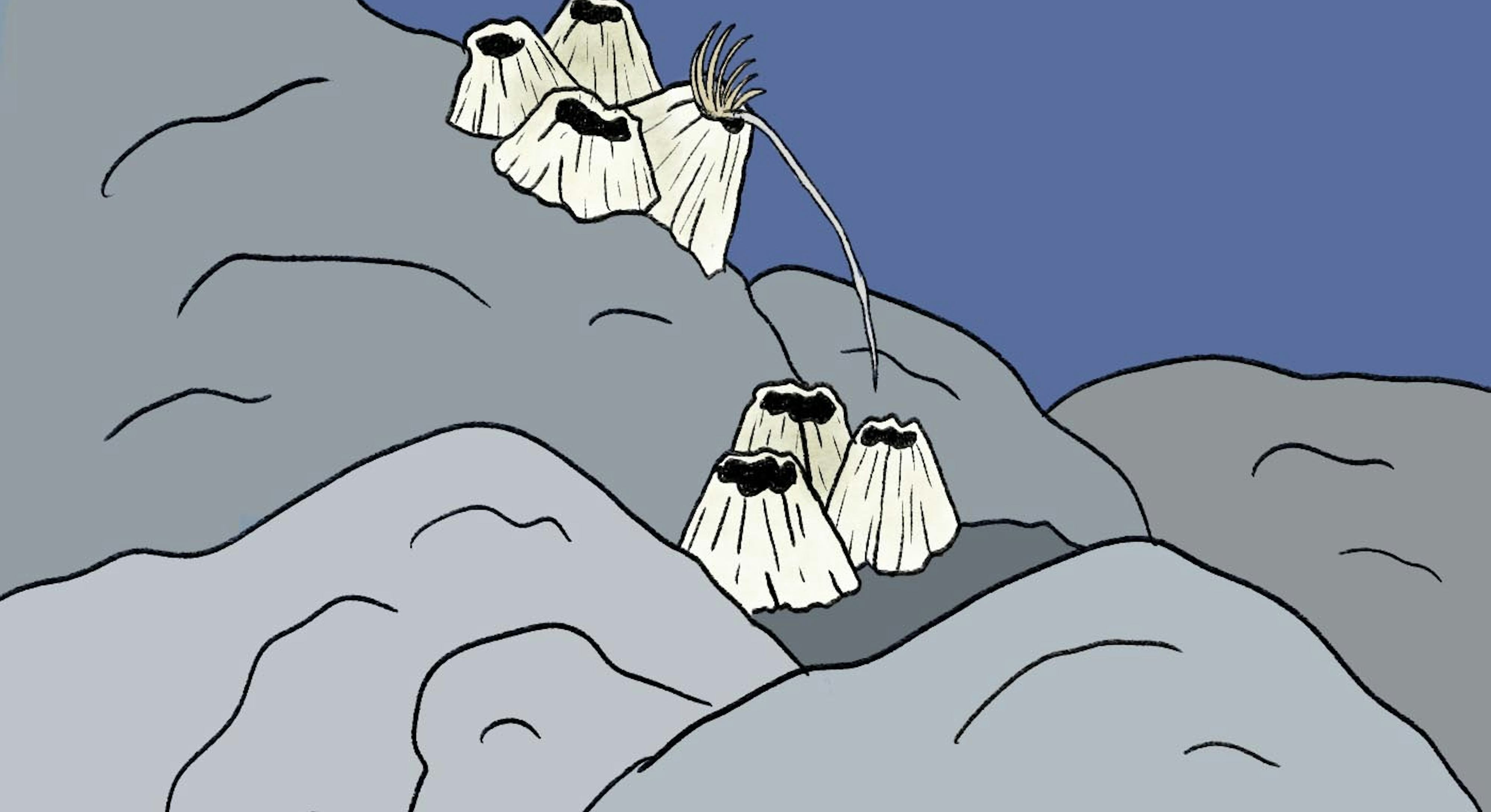 5 weird mating rituals of the animal kingdom