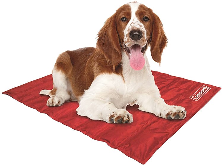 Coleman Pressure-Activated Cooling Pet Pad