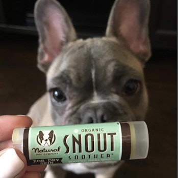 Natural Dog Company Snout Soother 