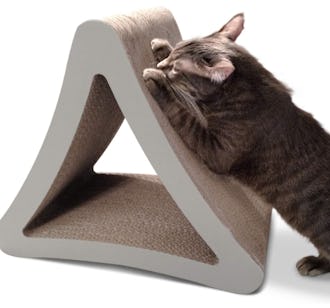 Tips on how to remove pet hair