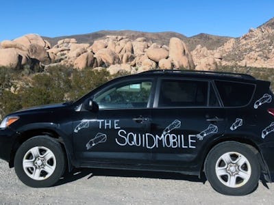 Sarah McAnulty's 2011 black Toyota RAV4 with squids painted in white on the sides and back.