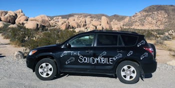 Sarah McAnulty's 2011 black Toyota RAV4 with squids painted in white on the sides and back.