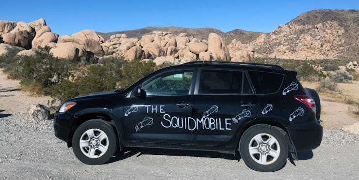 Sarah McAnulty's 2011 black Toyota RAV4 with squids painted in white on the sides and back.