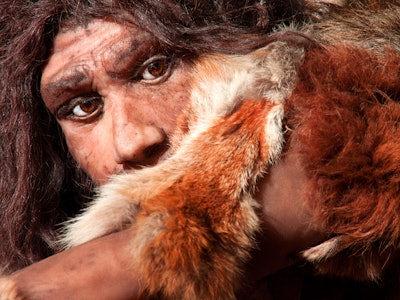 Close-up of a Neanderthal.