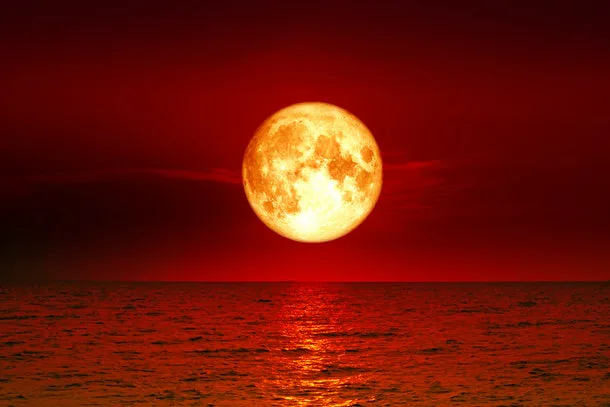 Your July 2020 Lunar Eclipse Horoscope Will Take You To The Top