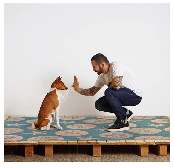 The 5 Best Rugs For Dogs