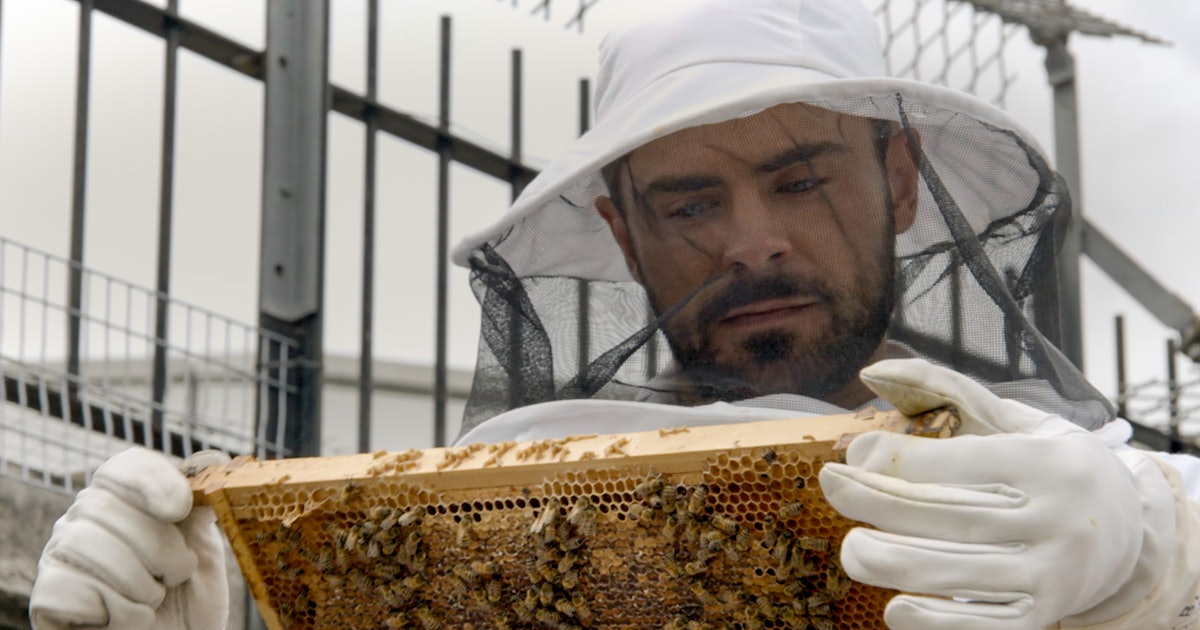 If Zac Efron�s �Down To Earth� Doesn�t Return For Season 2 If Zac Efron�s �Down To Earth� Doesn�t Return For Season 2