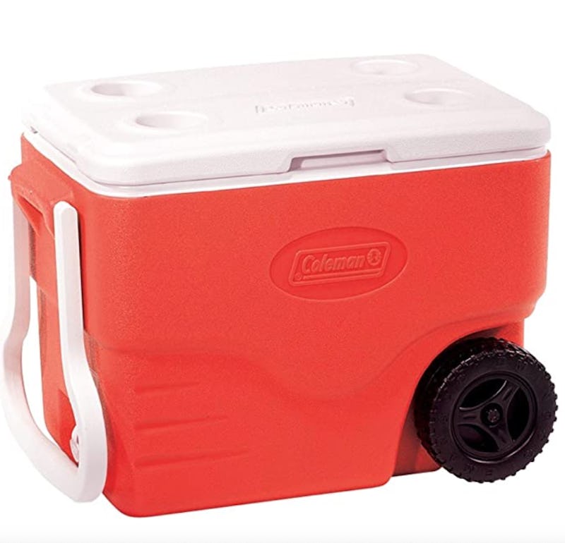 The 5 Best Cheap Coolers