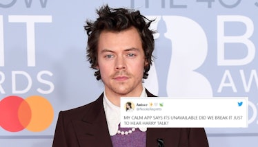 hese Tweets About Harry Styles Breaking The Calm App Are NOT Calm.