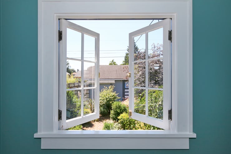 Open window into the backyard. 