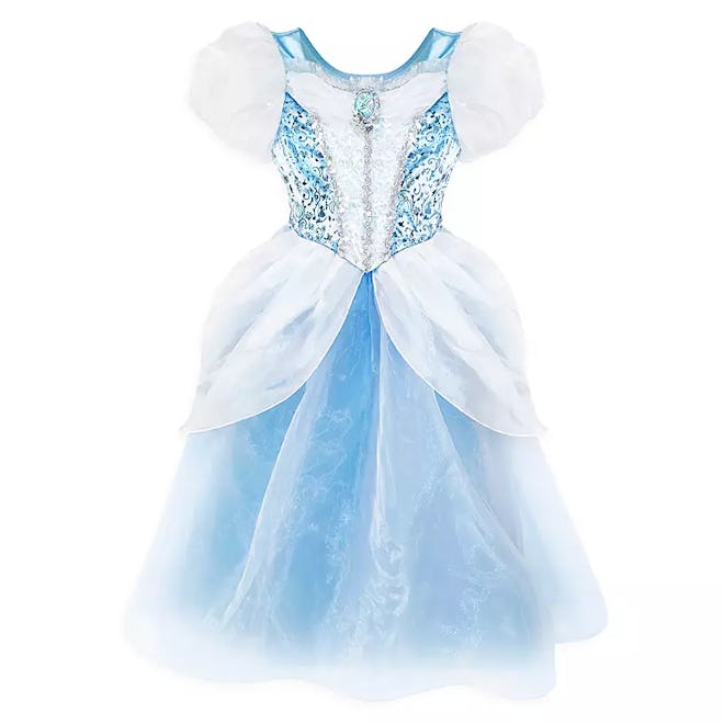 Cinderella Adaptive Costume