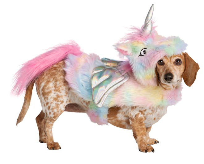 Thrills & Chills™ Pet Halloween Unicorn Costume