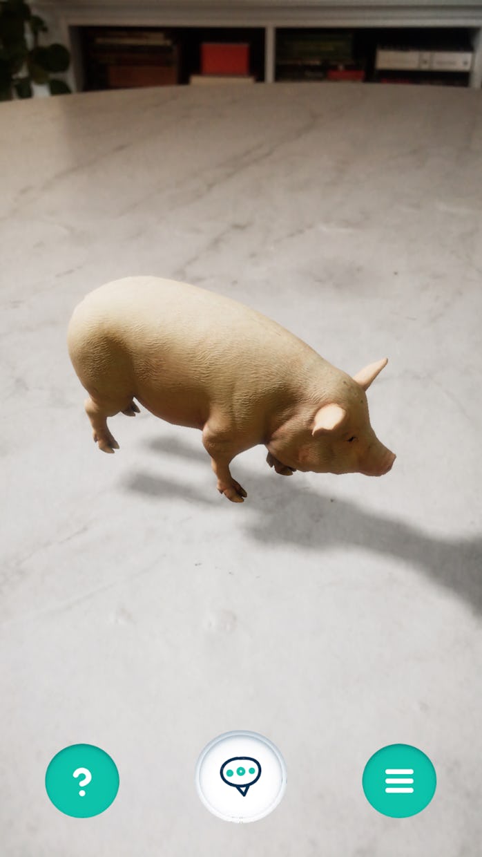 A pig in augmented reality form can be seen standing on a faux marble table. There are books in the ...