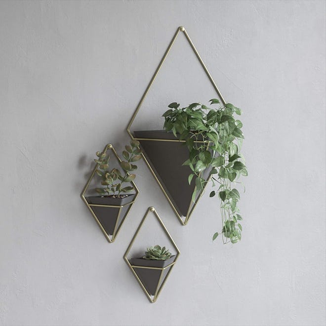 Umbra Wall Planters (Set Of 2)