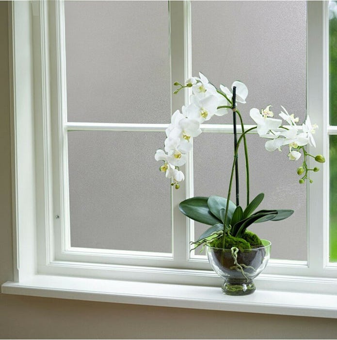 Coavas Window Privacy Film