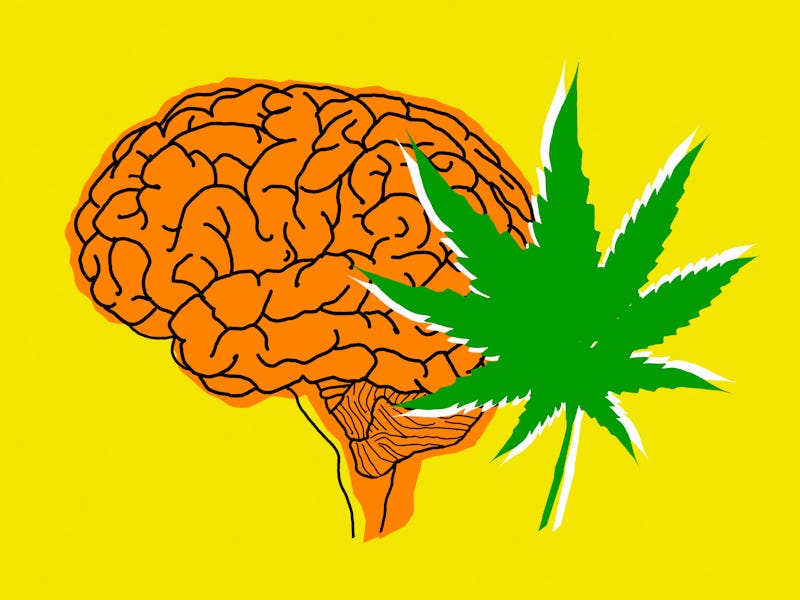 Human brain and cannabis leaf.