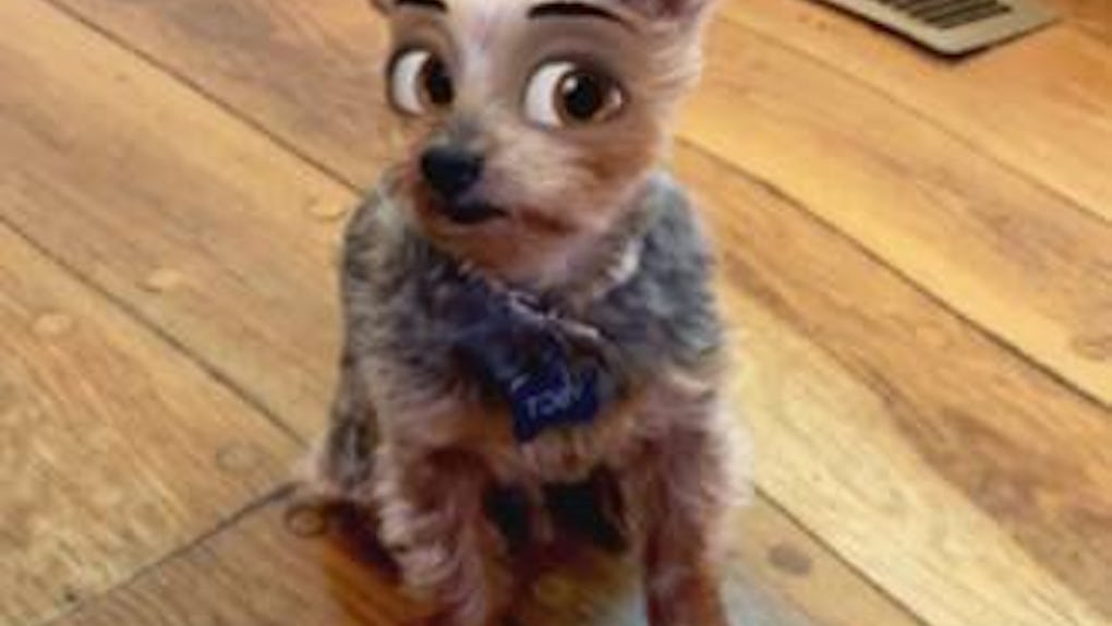 Here S How To Get The Viral Cartoon Face Lens On Snapchat For Some Hilarious Snaps