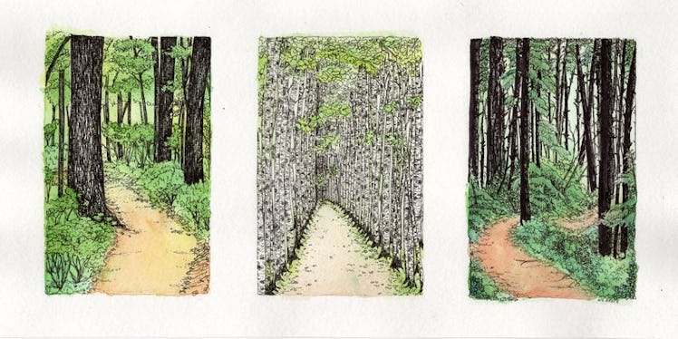 Three Paths - Ink Over Watercolor Illustrations