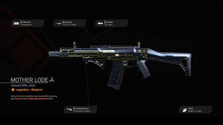 Mother Lode Grau 5.56 from call of duty warzone