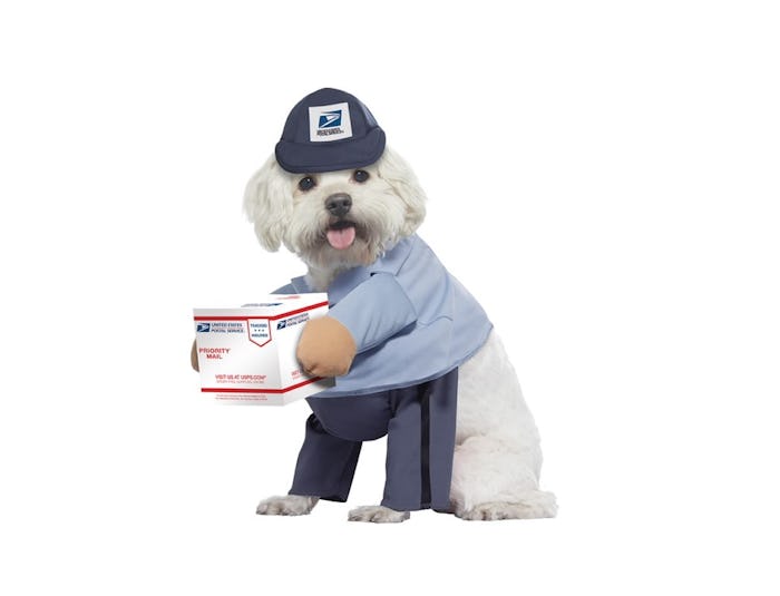 dog in usps mail carrier costume