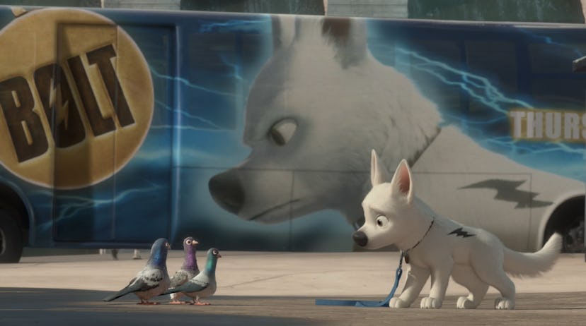 Bolt is part of Disney+'s dog content.