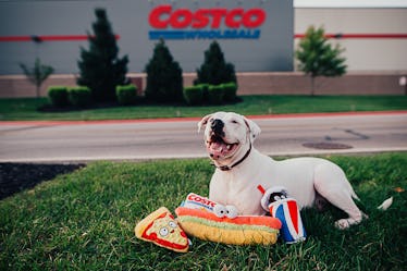 Here’s where to get BARK’s Costco Food Court dog toys