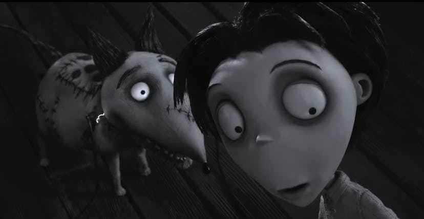 Frankenweenie is part of Disney+'s dog content.