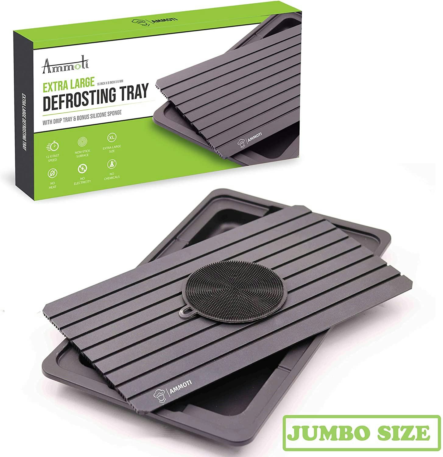 Best Defrosting Tray