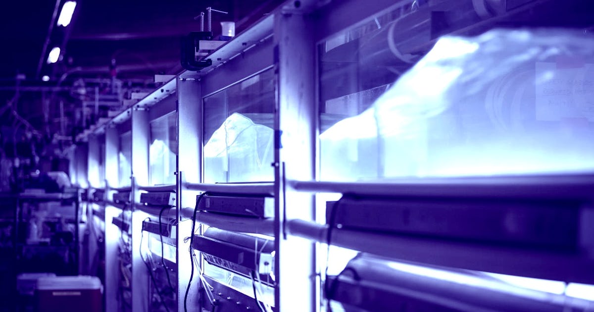 'Ocean-in-a-lab' shows the power of tiny climate change fighters