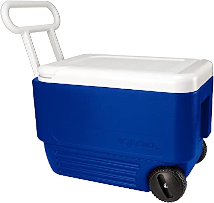 Igloo Wheelie Cooler (38-Quarts)