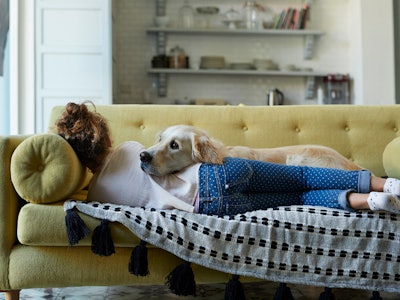 Woman laying on the couch with her Golden Retriever. 