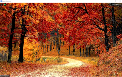 Fall Chat Background 25 Fall Zoom Backgrounds For Autumnal AF Video Calls