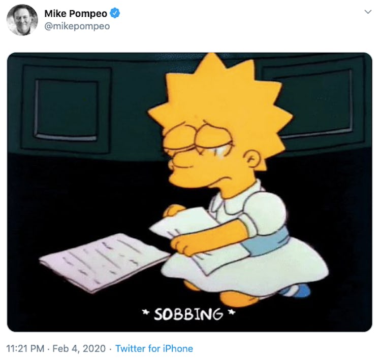 the simpsons mike pompeo