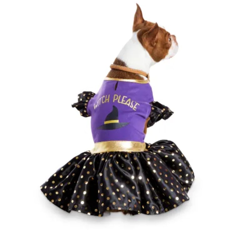 Bootique Wildly Wicked Dog Costume
