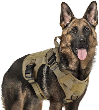 rabbitgoo Tactical Dog Harness Vest