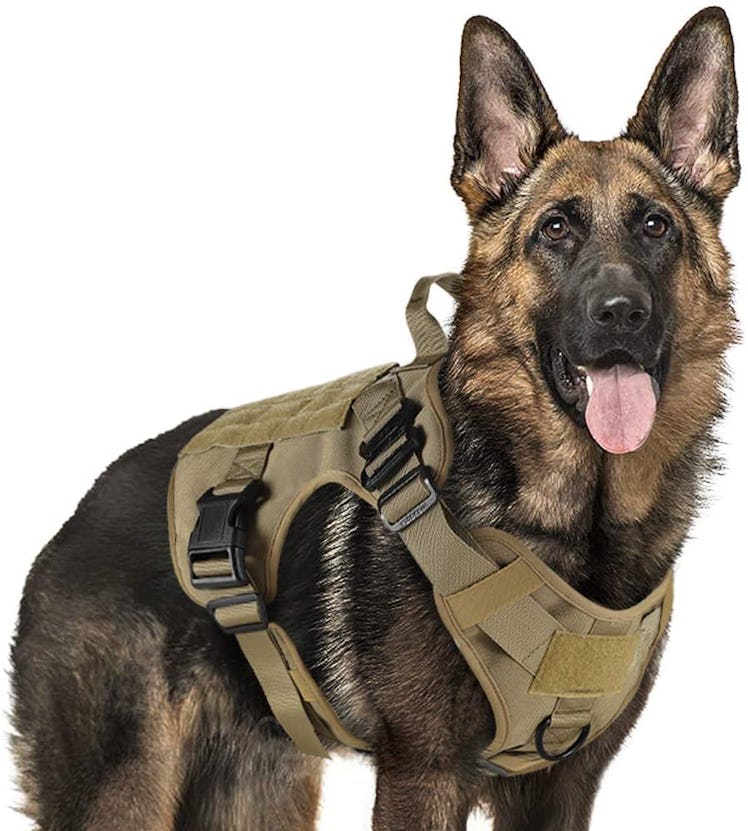 rabbitgoo Tactical Dog Harness Vest