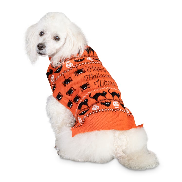 Bootique Wildly Wicked Sweater Dog Costume