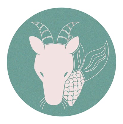 Capricorn zodiac signs are most compatible with Pisces, Scorpio, Virgo, and Taurus.