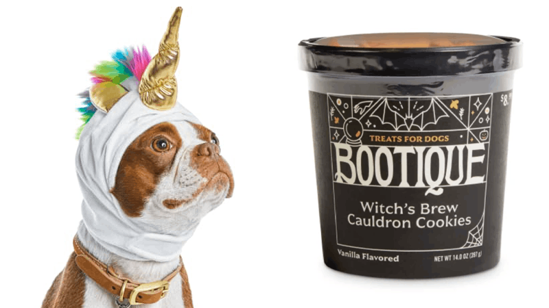 petco halloween contest 2020 Petco S Bootique Collection For Halloween 2020 Has Everything Your Pet Needs petco halloween contest 2020