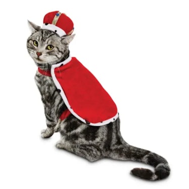 Bootique King Purrington Cat Costume