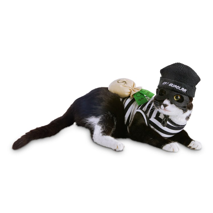 Bootique Crooked Cat Costume