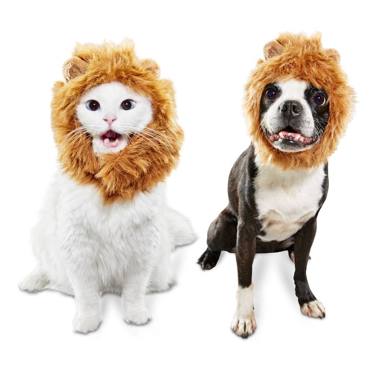 Bootique Mane Event Lion Pet Costume
