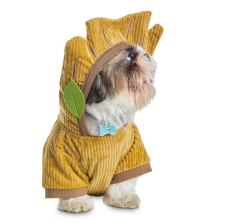 Bootique Marvel Groot Dog Costume