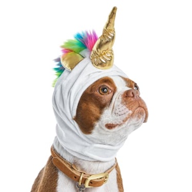Bootique Born To Unicorn Dog Costume
