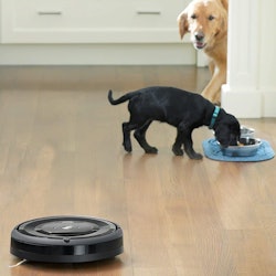 Best Robot Vacuums For Long Hair