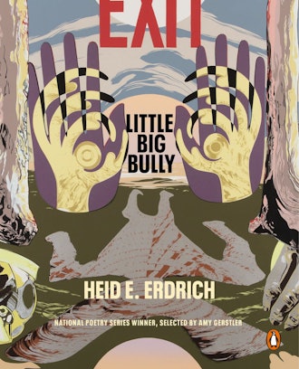 'Little Big Bully' by Heid E. Erdrich