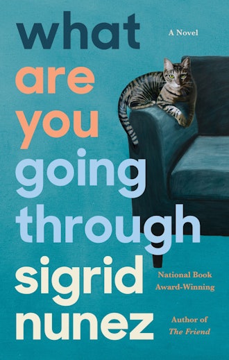 'What Are You Going Through' by Sigrid Nunez
