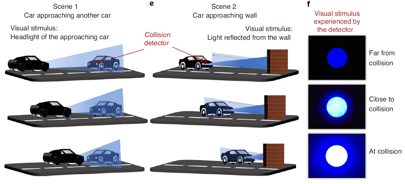 https://imgix.bustle.com/uploads/image/2020/8/24/9de31cad-d5a2-4bc9-ba0b-265284518907-toy-car-vision.PNG