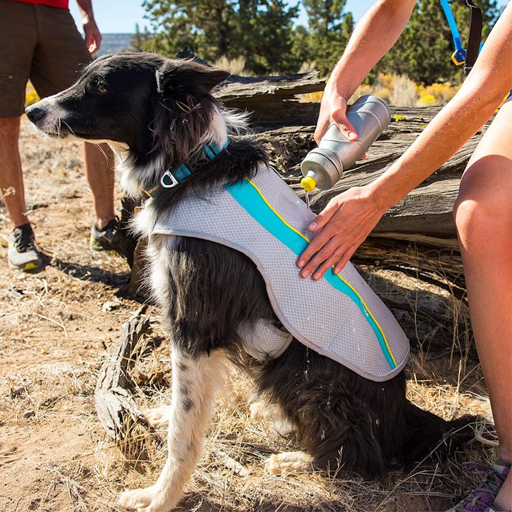 RUFFWEAR Swamp Cooler Evaporative Cooling Vest