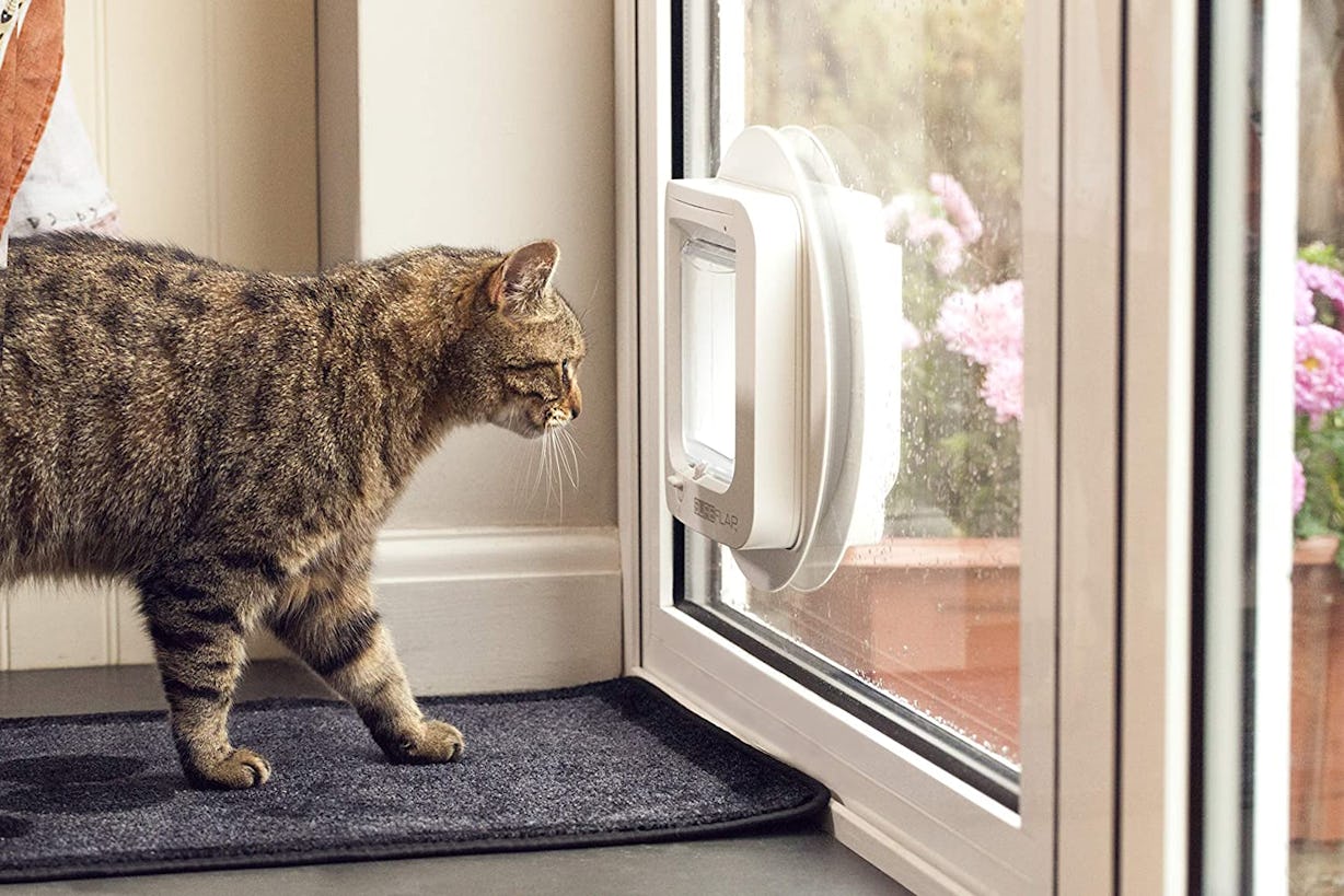 Automatic cat flap microchip Clearance
